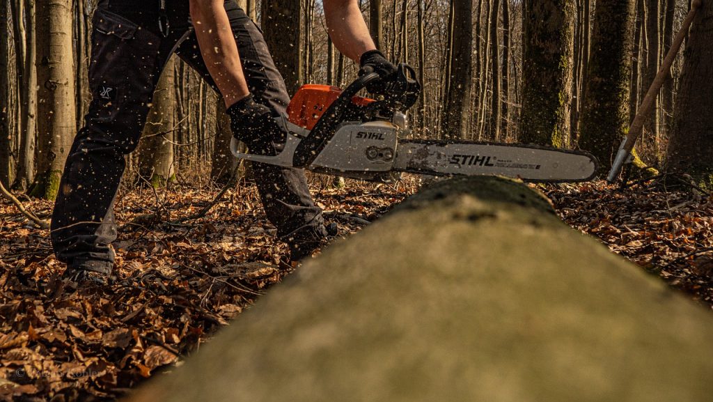 chainsaw, tree, forest-7100689.jpg